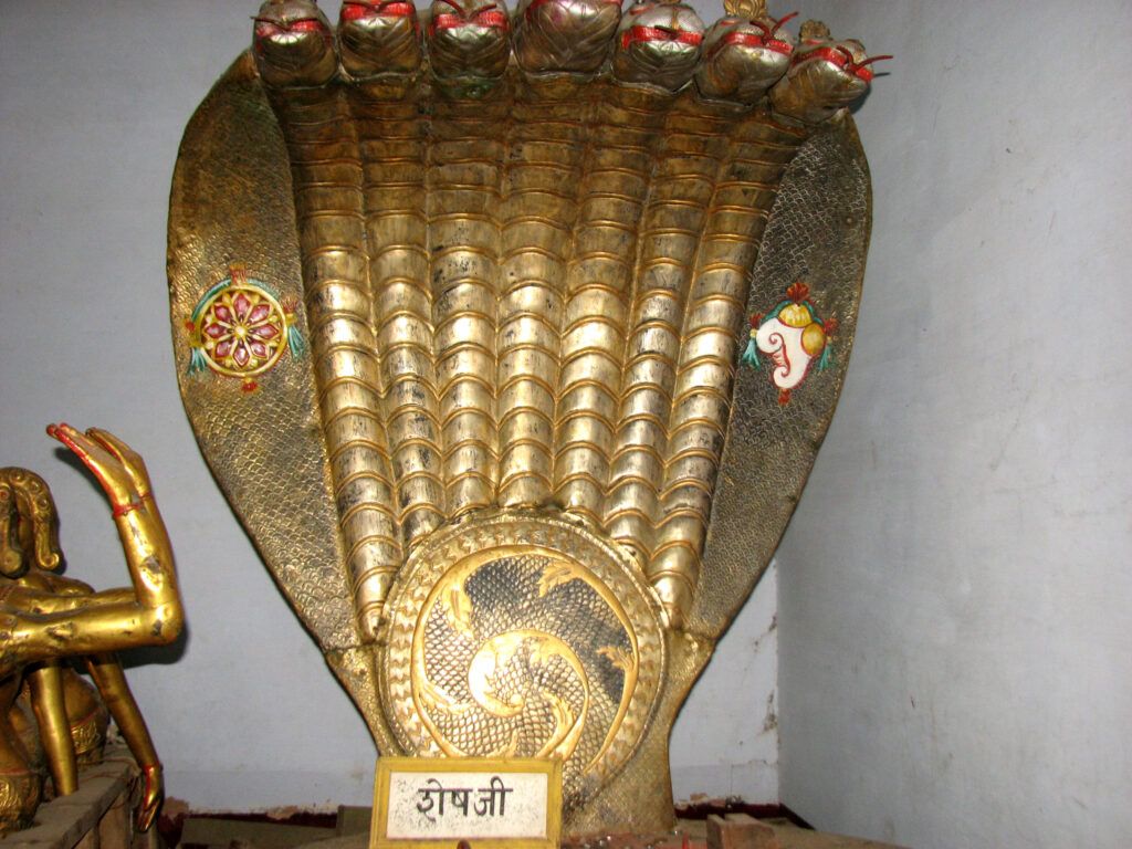 IMG 0747 1