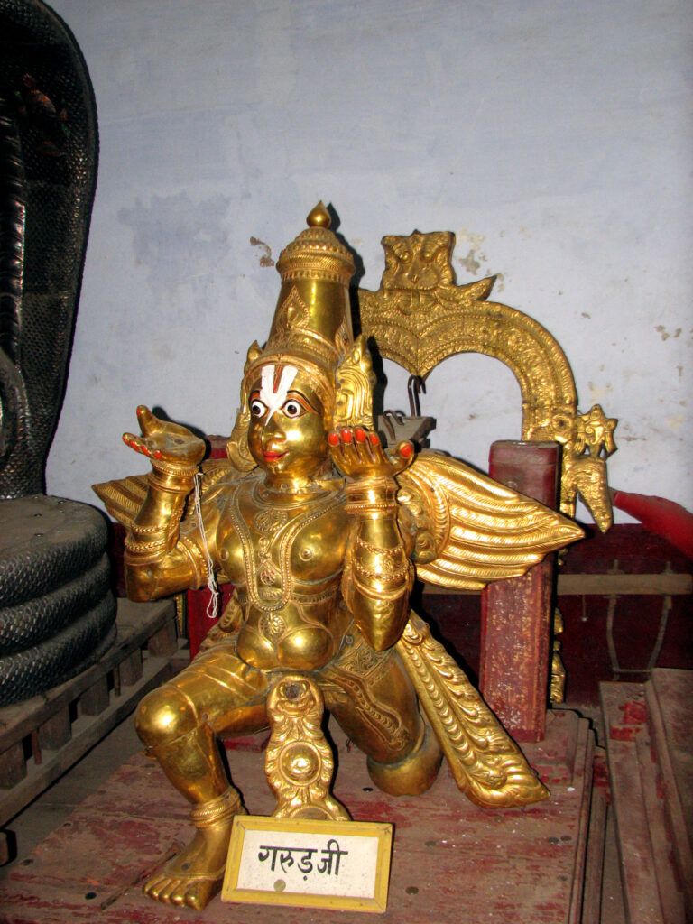 IMG 0755