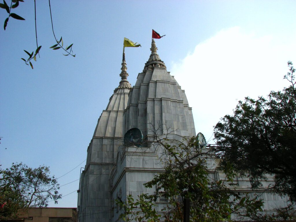 IMG 0829