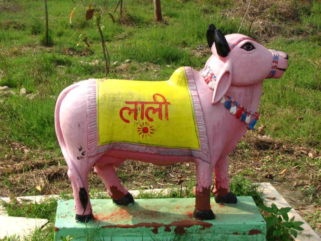 Ter Kadamba